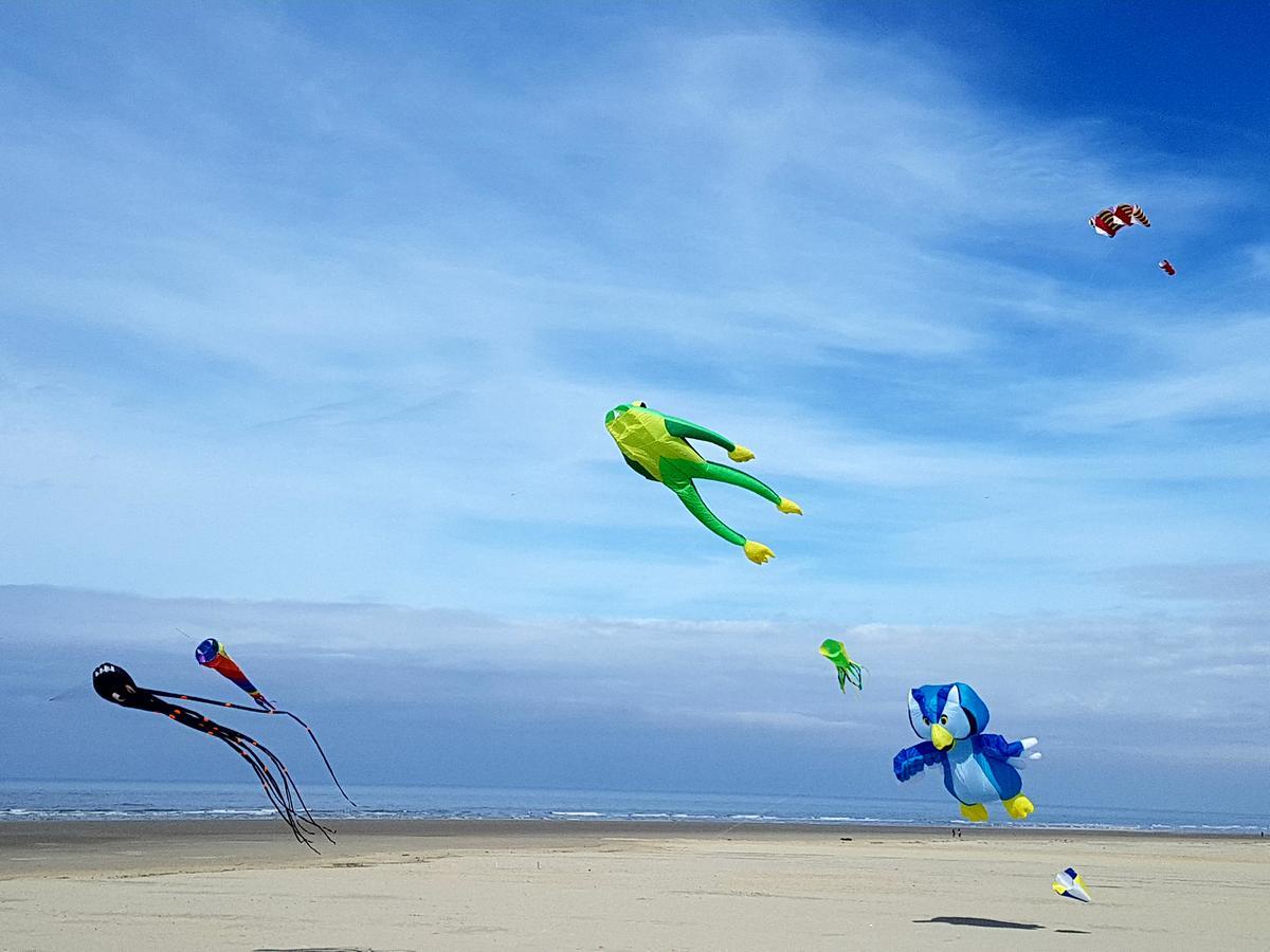 Les Coquillages, 2 Salles De Bains, Tout A Pied Berck Экстерьер фото