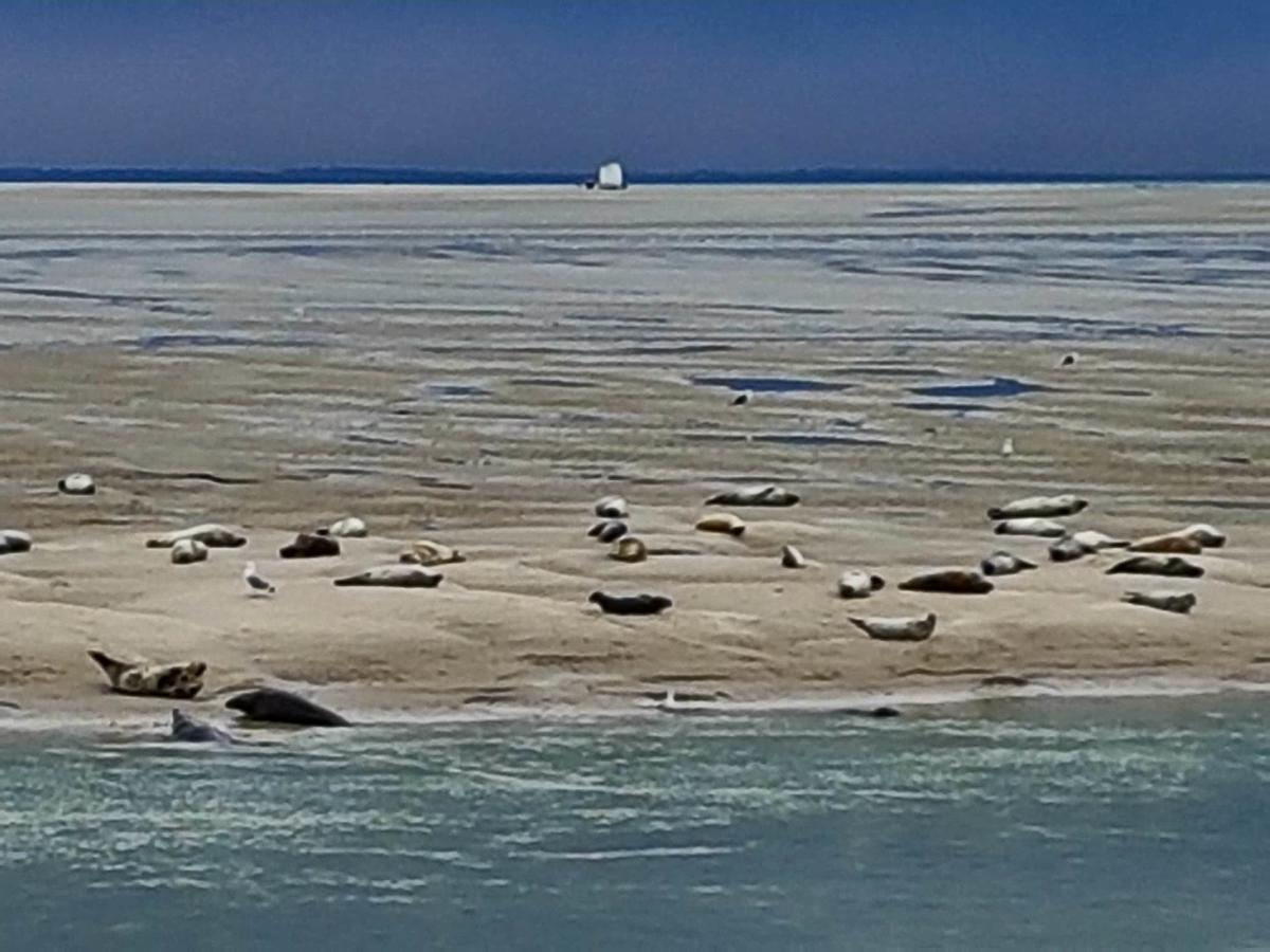 Les Coquillages, 2 Salles De Bains, Tout A Pied Berck Экстерьер фото