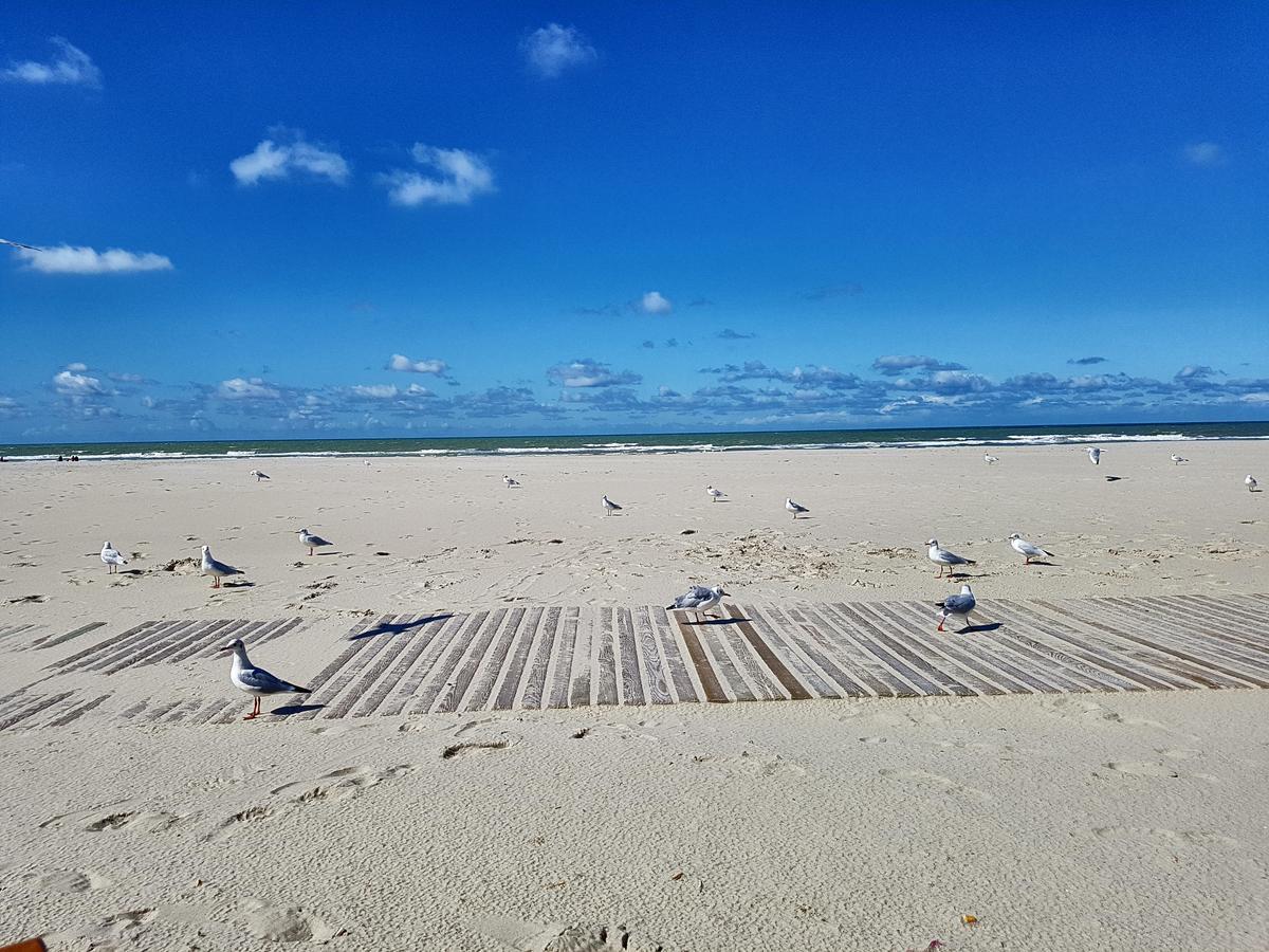 Les Coquillages, 2 Salles De Bains, Tout A Pied Berck Экстерьер фото